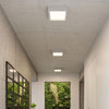 White glass flush ceiling light Sollux Lighting Ceiling Lamp RIZA Concrete
