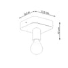 Sleek and raw ceiling lights TAVO 1 perfect for dining rooms