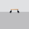 Elegant ceiling lights Sollux Lighting Ceiling Lamp VERDO 2 Black
