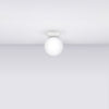 White flush ceiling lights with spherical lampshade
