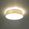 White flush mount ceiling light Sollux Lighting Ceiling lamp ARENA 55 white