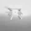 Modern ceiling lights Sollux Lighting Ceiling Lamp MERIDA 4 White