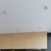 Flush mount light fixtures by Sollux Lighting Ceiling lamp ORBIS natural wood