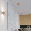 Wooden home accessories with Sollux Lighting Ceiling lamp ORBIS natural wood