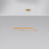 Hanging Light Chandelier NELYA M golden 4000K