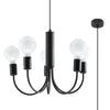 Modern chandelier Sollux Lighting Chandelier PICCOLO 5 Black
