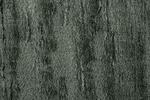 Enhance your space with large rugs