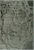 Large rugs with intricate pebble patterns