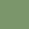 Graham & Brown Ecuador Paint close view picture of the paint color