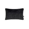Luxurious Scatterbox Cushion Etta 35x50cm Cream/Charcoal with soft velvet texture.