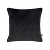 Luxurious Scatterbox Cushion Etta 43x43cm Cream/Charcoal with plush velvet texture.
