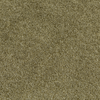 Elegant home décor with Scatterbox Cushion Liana Green
