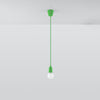Enhance your space with Sollux Lighting Pendant Lamp DIEGO 1 Green
