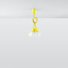 Unique Sollux Lighting Pendant Lamp DIEGO 5 Yellow perfect for pendant light fittings
