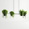 Designer ceiling lamp for home decor - Sollux Lighting Pendant Lamp KUKKIA Black.
