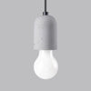 Elegant pendant light NESO 1 in loft decor

