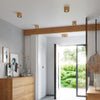 Flush ceiling light fixture Sollux Lighting Plafond BASIC 1 Natural Wood
