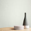 Graham & Brown Prosecco White Paint close view life style picture of the painted wall