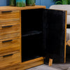 Ray Sideboard Ginger Teak close view picture of the storage space