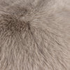 Scatterbox Cushion Sloane 90x90cm Pod Mink adding elegance to home decor