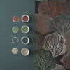 Graham & Brown Twyla Nocturne Wallpaper picture with paint color that will perfectly fit to this wallpaper
