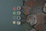 Graham & Brown Twyla Nocturne Wallpaper picture with paint color that will perfectly fit to this wallpaper