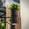Stylish wall lights Sollux Lighting Wall Lamp KUKKIA Black
