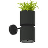Elegant wall fixtures Sollux Lighting Wall Lamp KUKKIA Black
