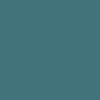 Graham & Brown Whale Tail Paint close view picture of the paint color hue