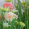 Wildflower Dahlia Bundle 70cm for nature-inspired decorations