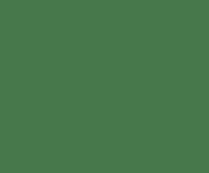 Dulux Undercoat  Green
