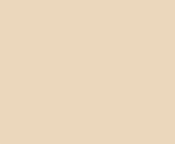 Dulux Undercoat  Off White