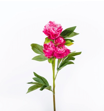 Luxury Peony Spray Deep Pink