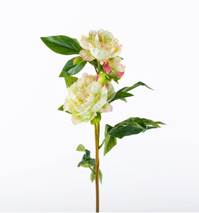 Luxury Peony Spray Green