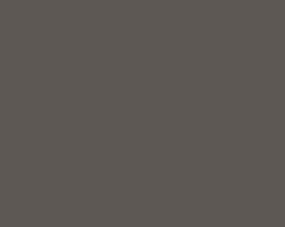 Colourtrend Contemporary Collection  Pine Marten