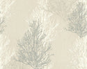 Adelaide CreamSilver Tree Wallpaper  348192