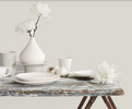 Fleetwood Prestige Vogue  Coco 1955 Light