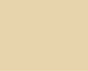 Colourtrend Weather Collection  Wheaten