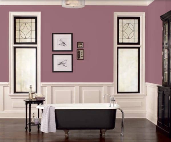 Fleetwood Popular Colours  Berries  Cream