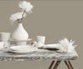 Fleetwood Prestige Pantone  Crokery 161104