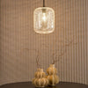 Tavia Pendant Lighting in living room