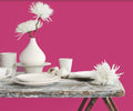 Fleetwood Popular Colours  Exuberant Pink