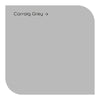 Dulux Weathershield Carraig Grey exterior wall Paint