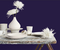 Fleetwood Prestige Vogue  Fallingwater 1935