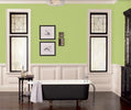 Fleetwood Popular Colours  Frolic