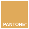 Fleetwood Prestige Pantone  Golden Apricot 141041 NEW