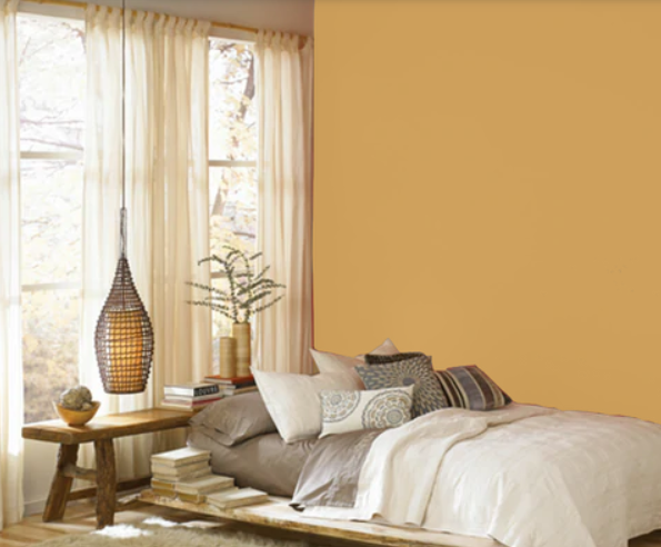 Fleetwood Prestige Pantone  Golden Apricot 141041 NEW