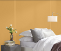 Fleetwood Prestige Pantone  Golden Apricot 141041 NEW