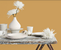 Fleetwood Prestige Pantone  Golden Apricot 141041 NEW