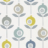 Pepino Wallpaper